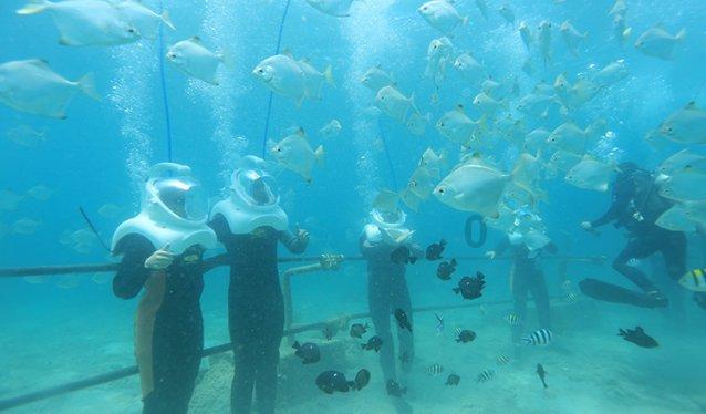 探索大学生可以在大学兼职么？，打开知识星球平台的新视界！